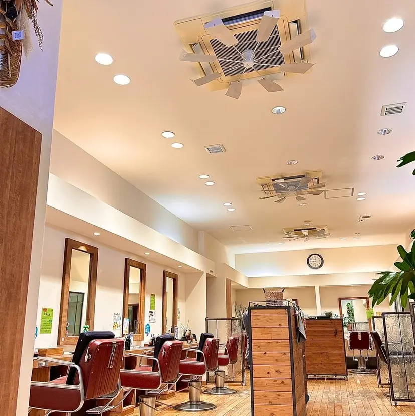 松本 恵佳の掲載