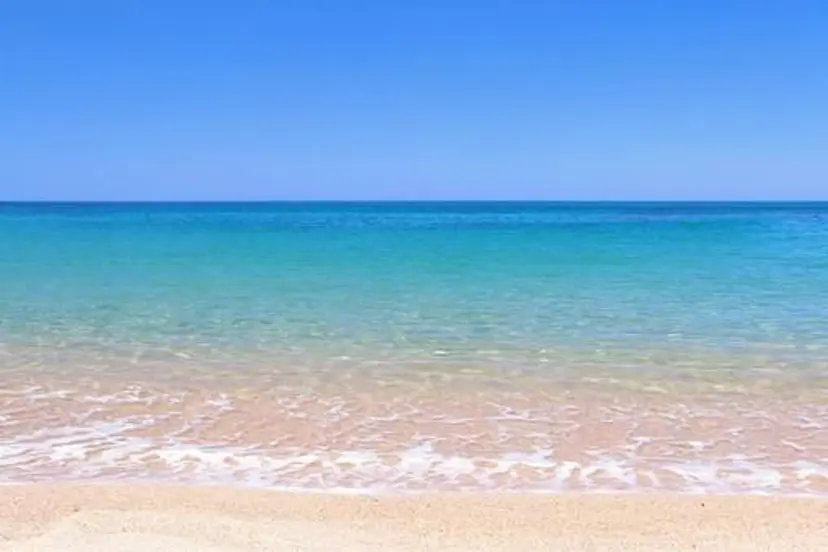 Nail Salon m.の掲載