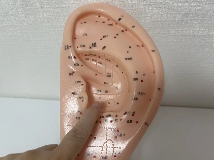 橋本 文恵の掲載