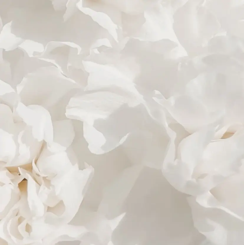 a.k.a/ haruna.の掲載