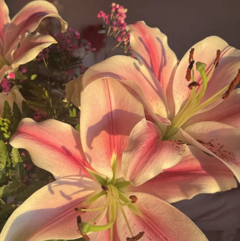 avectoi 𝓻𝓲𝓷𝓪の掲載