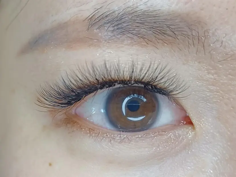 岡崎 良美の掲載