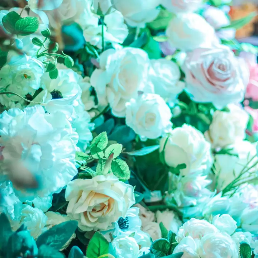 💚ミヤマ アンナ☘️の掲載