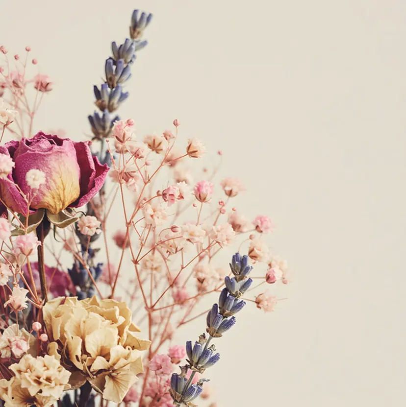 松本 かざみの掲載