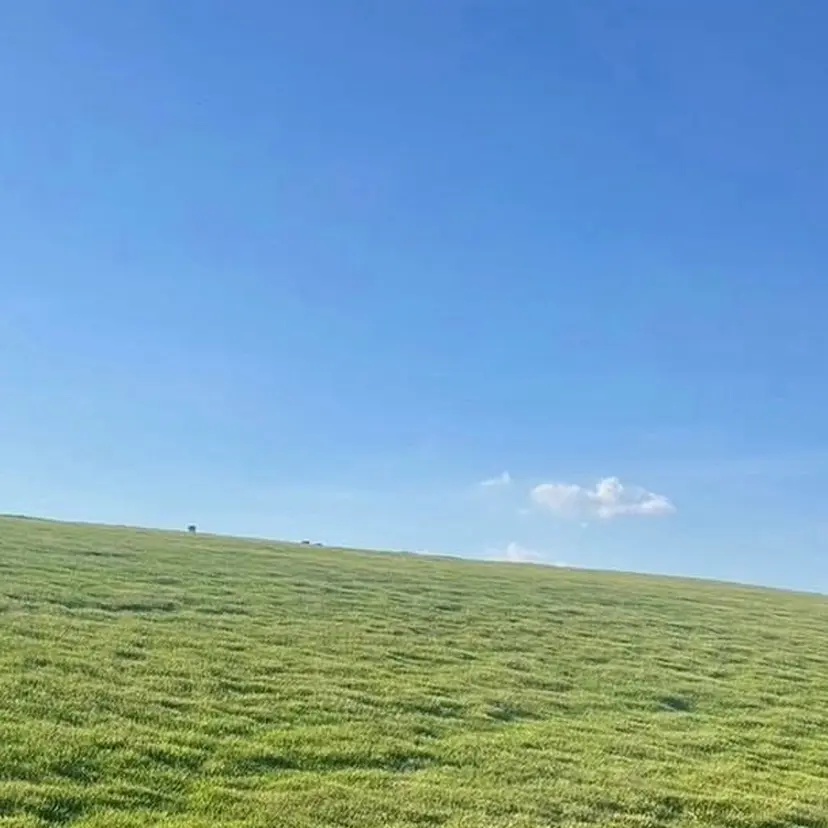 PLUME SAKURAの掲載