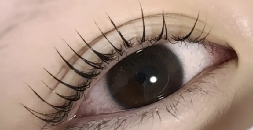 藤川 心響の掲載