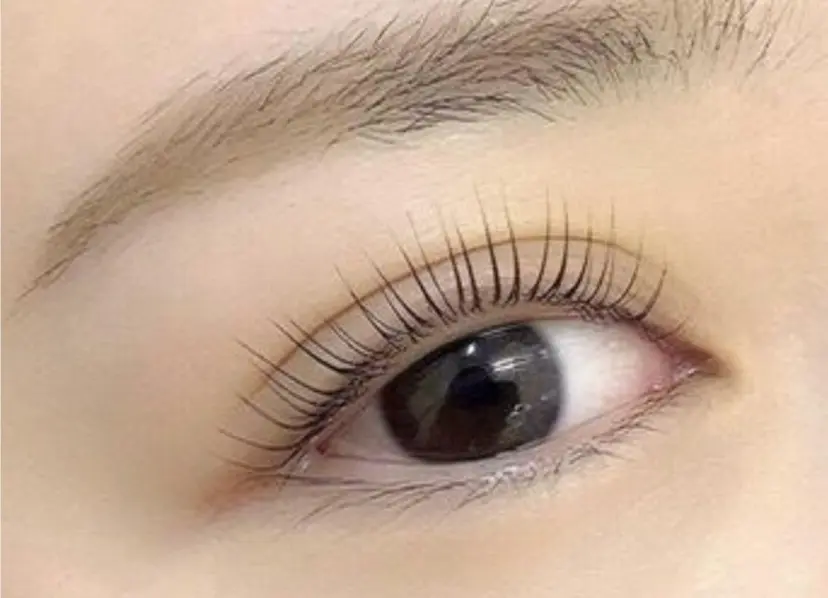 マリーテレジア 山崎の掲載