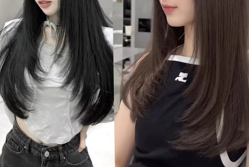 山本 陽女の掲載