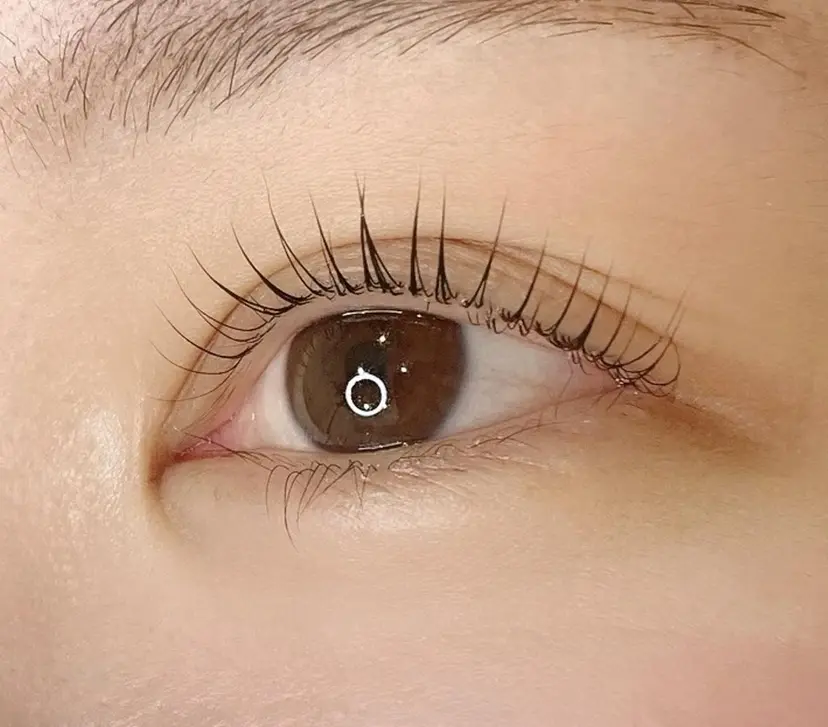 salon ime chieの掲載