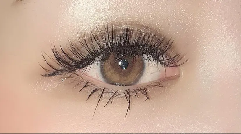 wreath sayuriの掲載