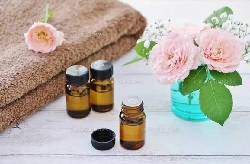 荒井 智恵子の掲載