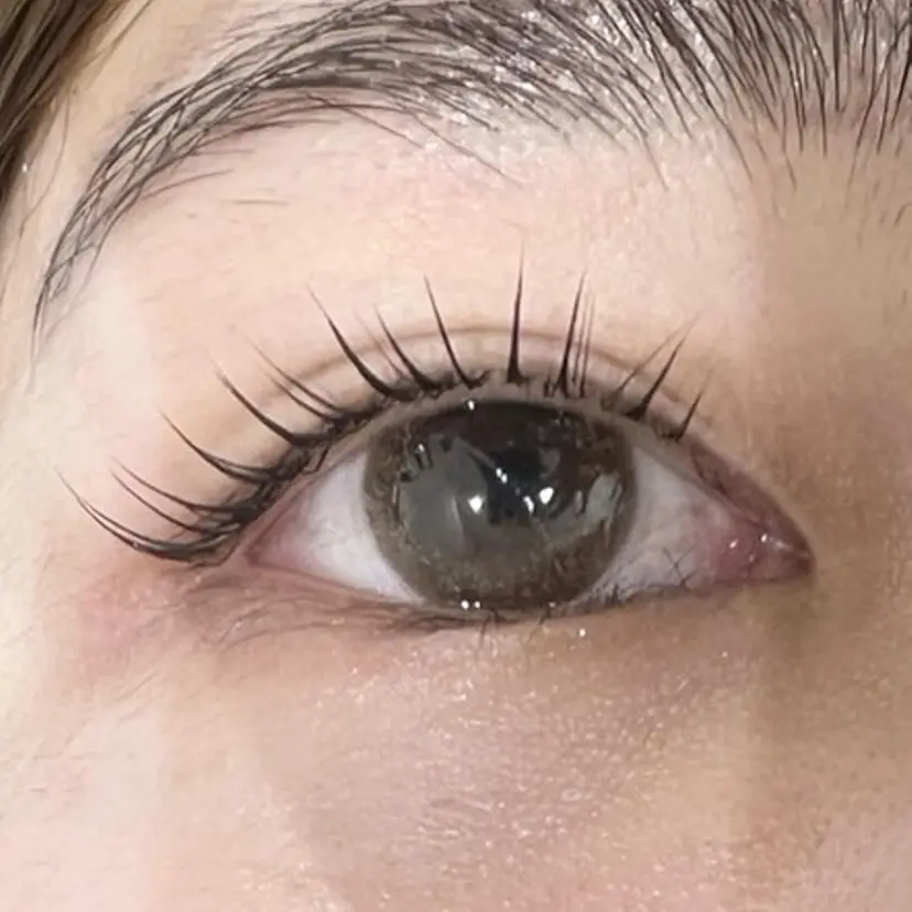 アトリエ mioの掲載