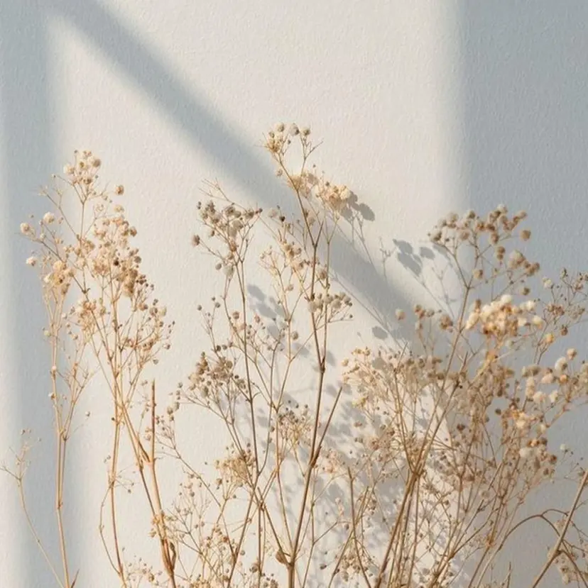 【plan】 kaoriの掲載