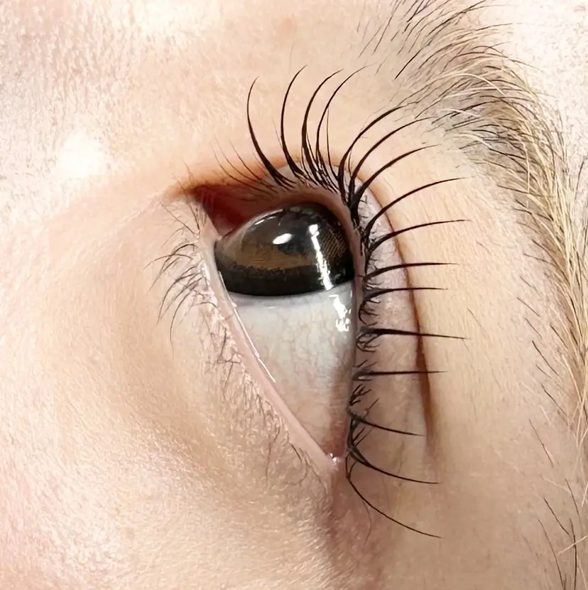 Anela柏 🦦Kasumi🦦の掲載