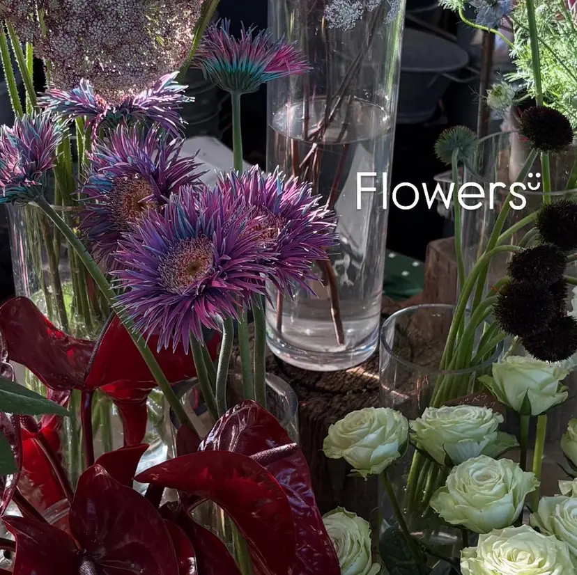 🪷MYU /みゅう🪷の掲載