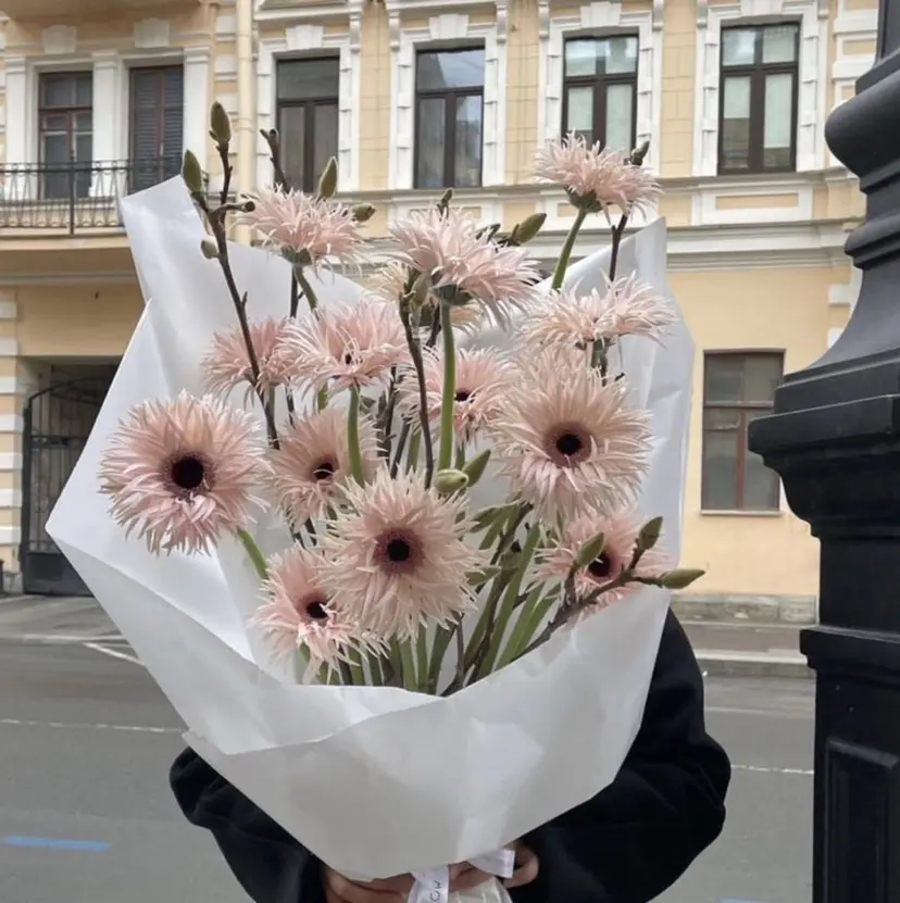 レイヤーカット🎀 kanaの掲載