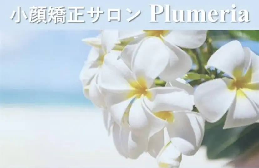 小顔矯正サロン プルメリアの掲載