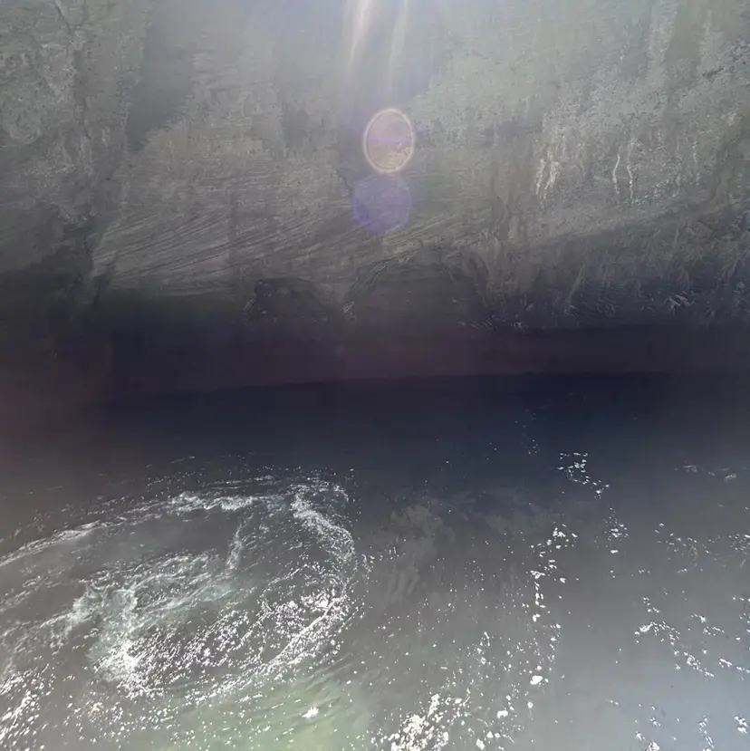 mao再現性120% カット/お洒落ヘアの掲載