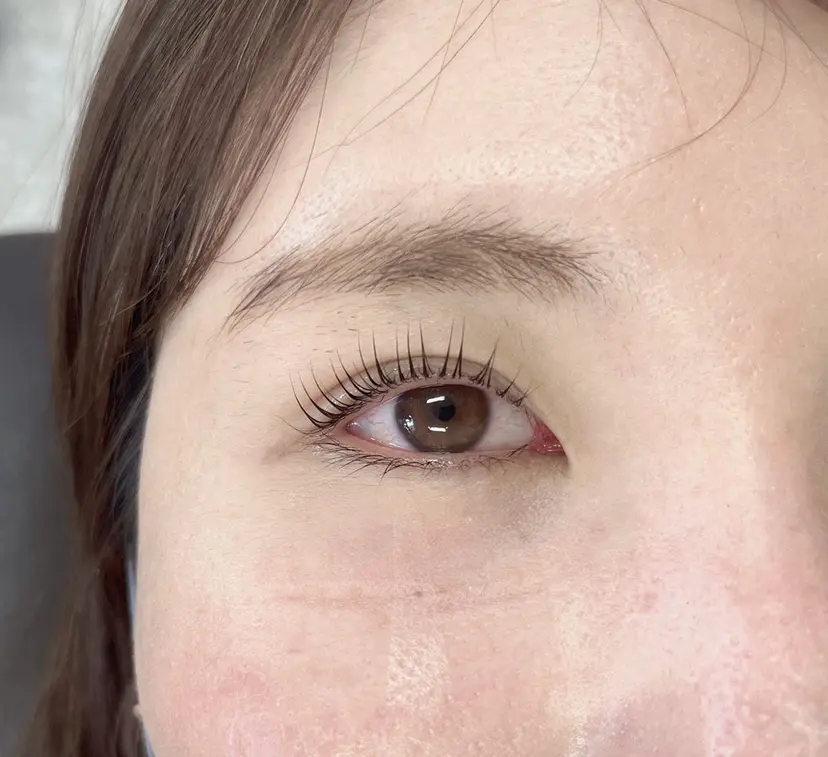 nicott lash草下の掲載