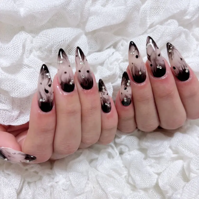 高橋 侑生の掲載