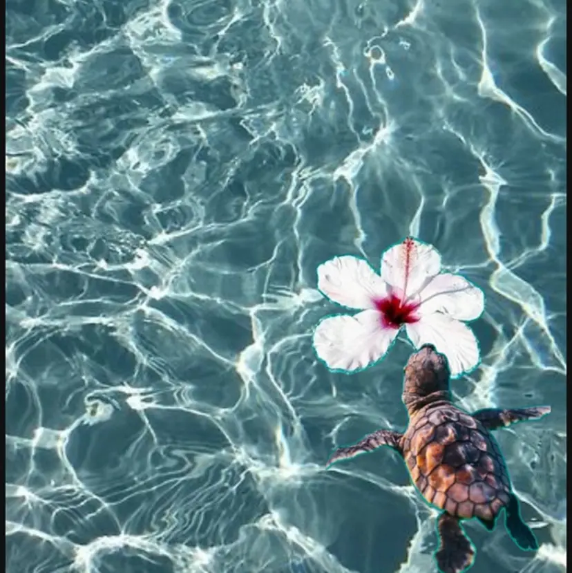 岸田 麻友香の掲載