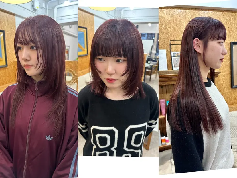 🪭risa 暖色/レイヤー🪭の掲載