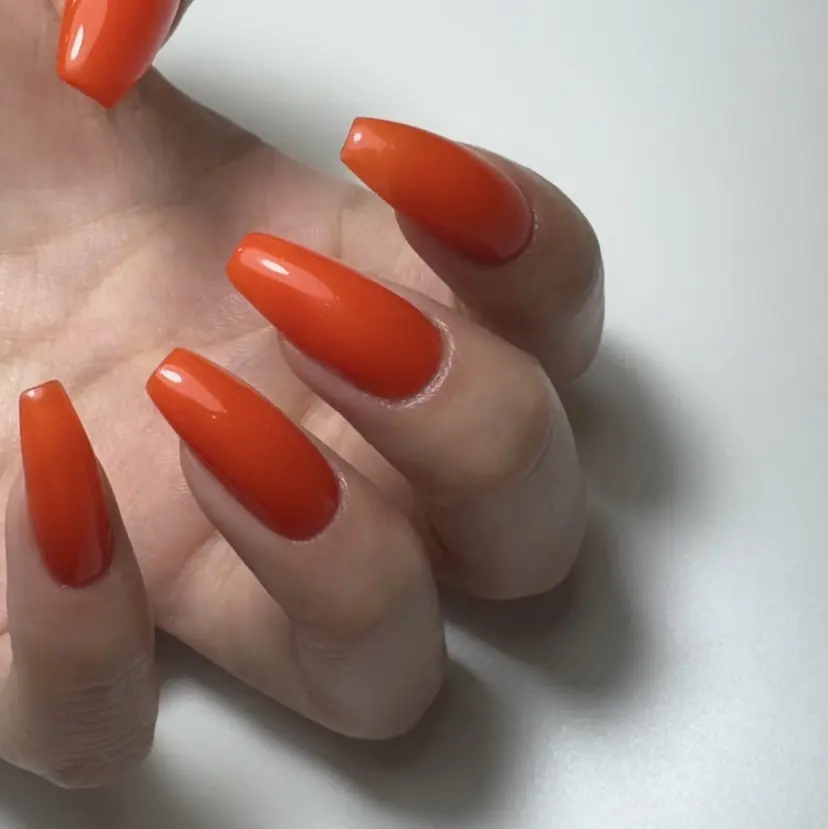 Sincerity senaの掲載