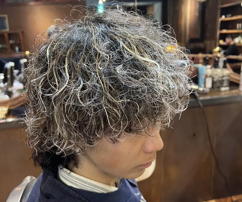 中居 優弥の掲載