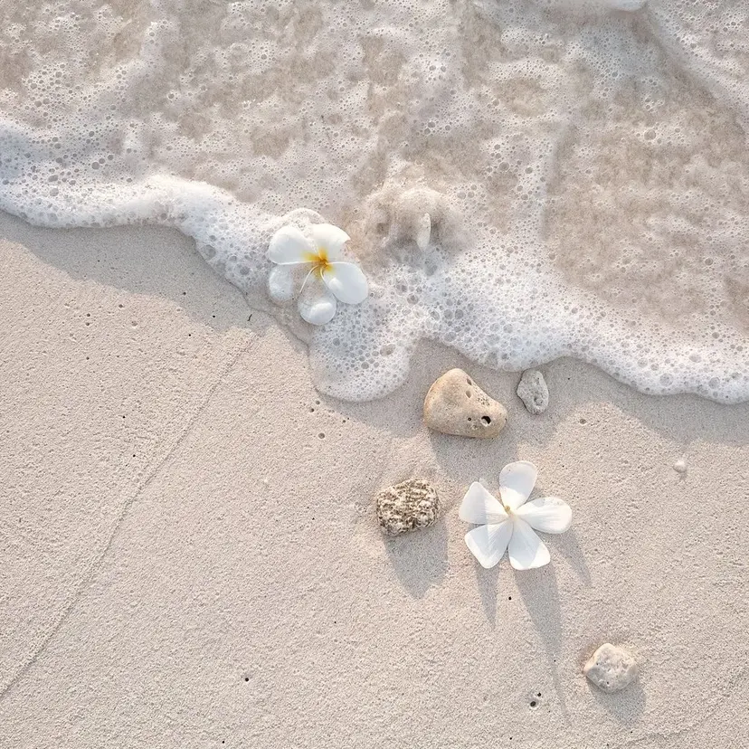 🫧bloom296 momoka🫧の掲載