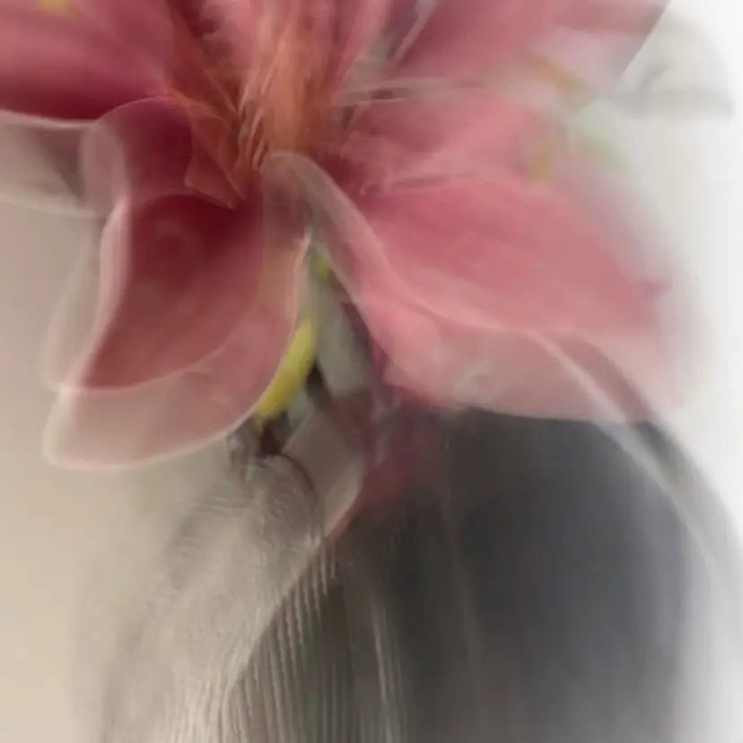 外川 生純美ೀ🌝の掲載