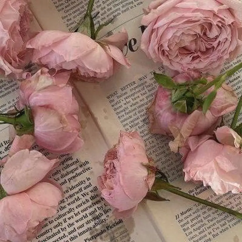 ‎🎀HONOKA 🎀／似合わせカラーの掲載