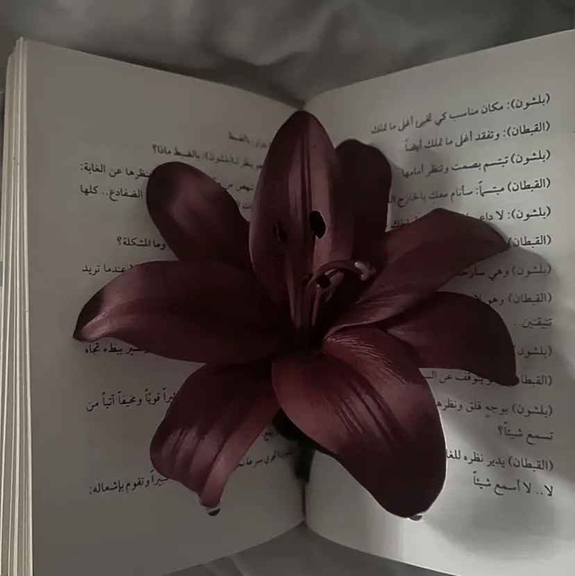 LOUIMADNA Haruna️️꙳⟡の掲載