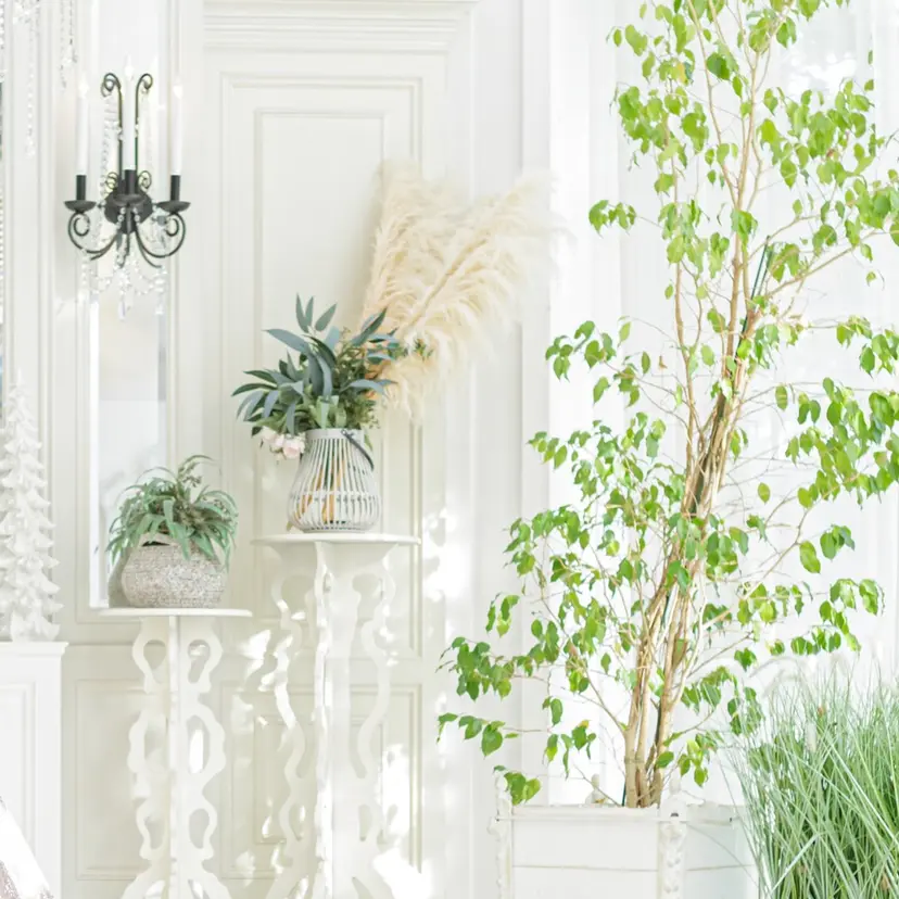 hinata ☀️の掲載