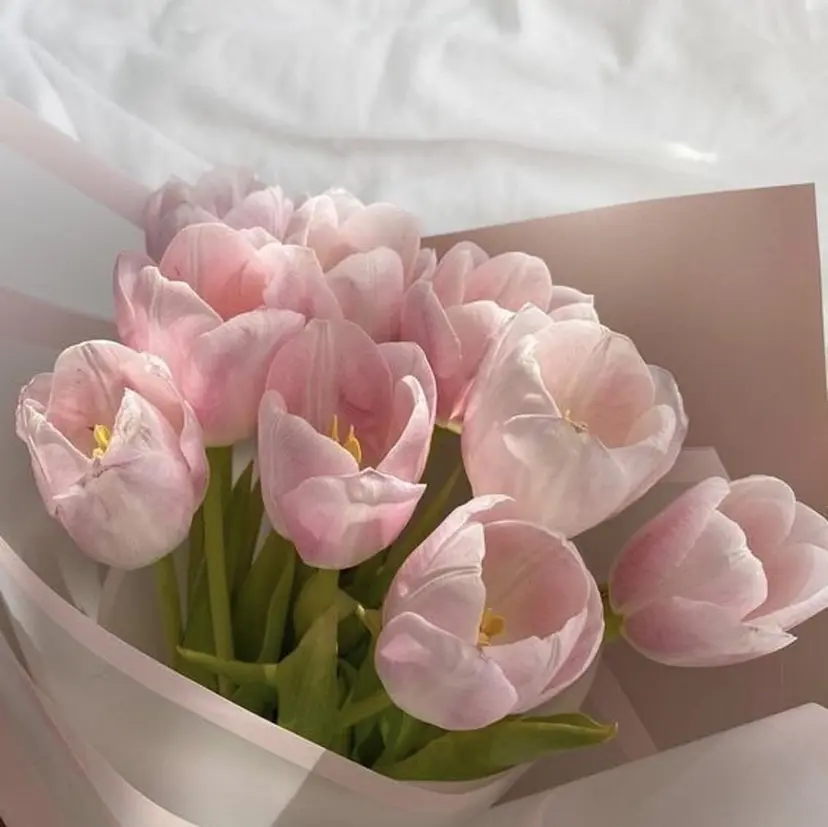 小村 理音の掲載