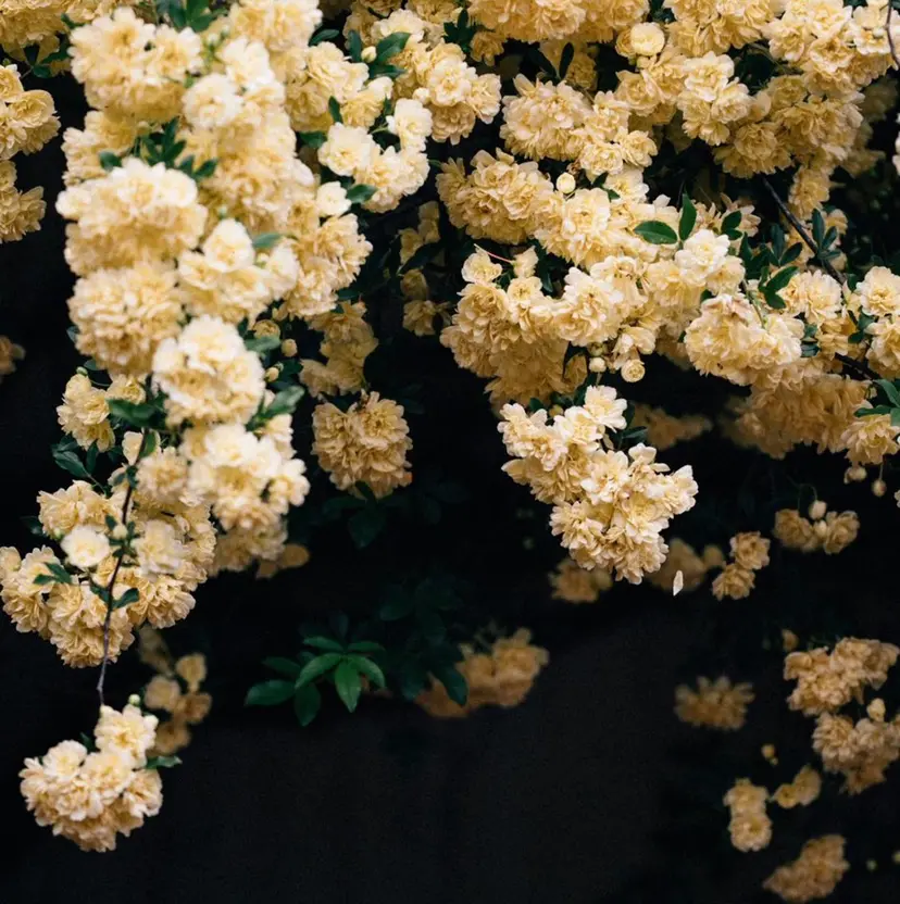 💈菊地 隆斗💈の掲載
