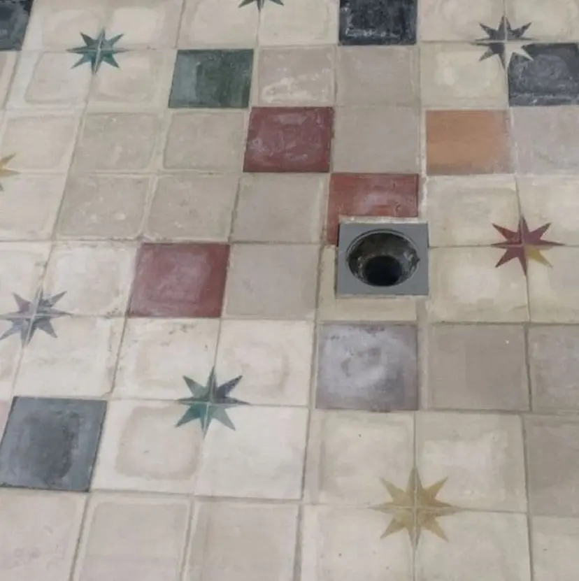 Lomalia Yuzuki*∴の掲載