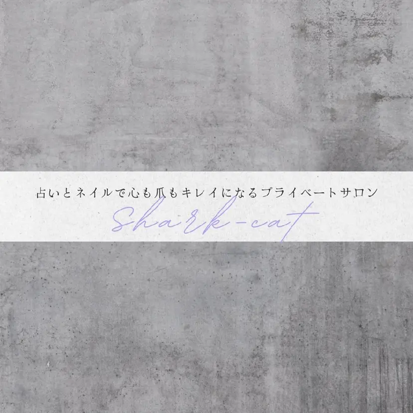 サメ猫 マーヤの掲載