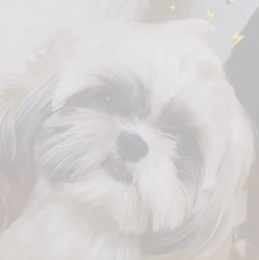 ParveMix 岡本えりかの掲載