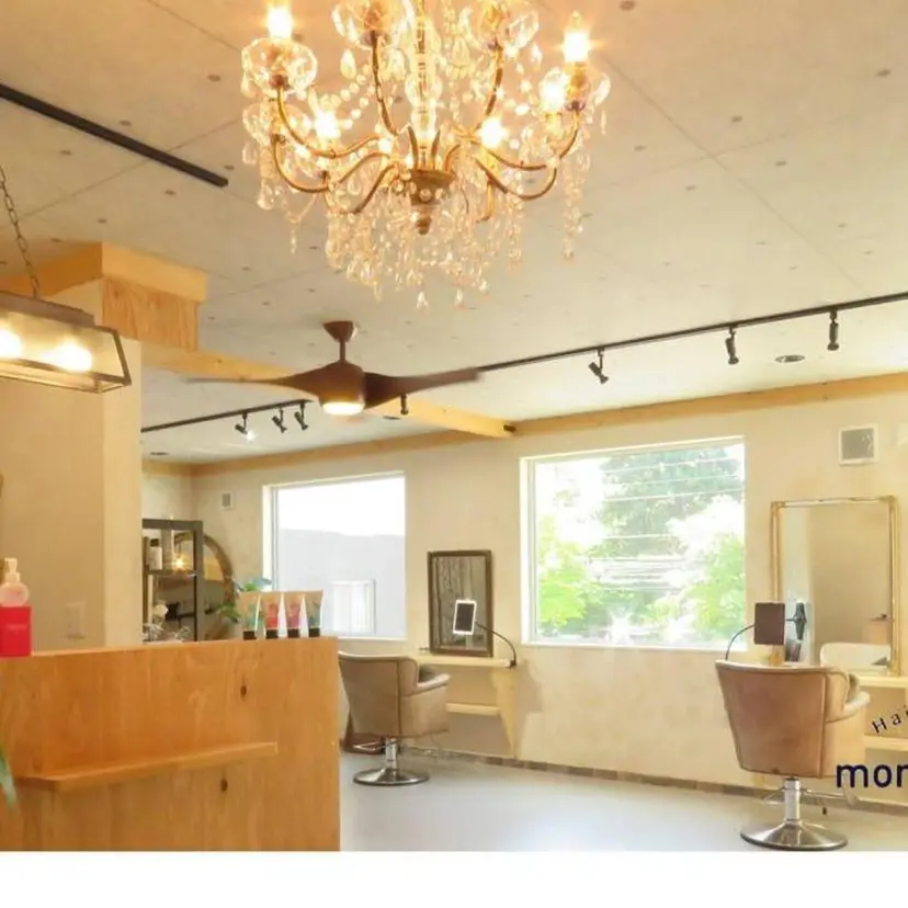 モーニングスター リリーの掲載