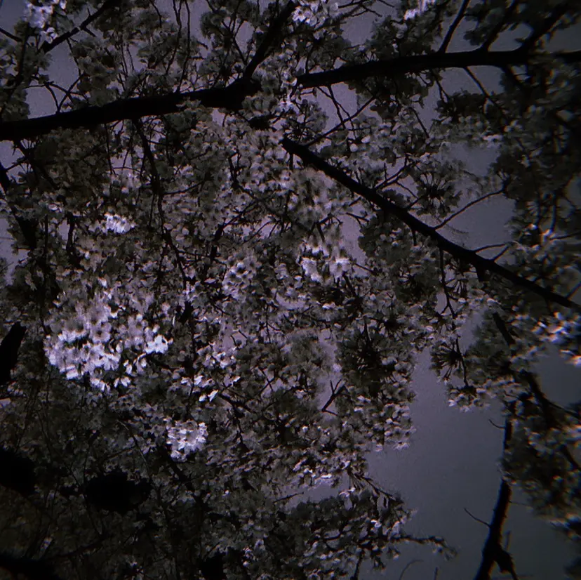 👼🏻透明感カラー 〻takuya💫の掲載