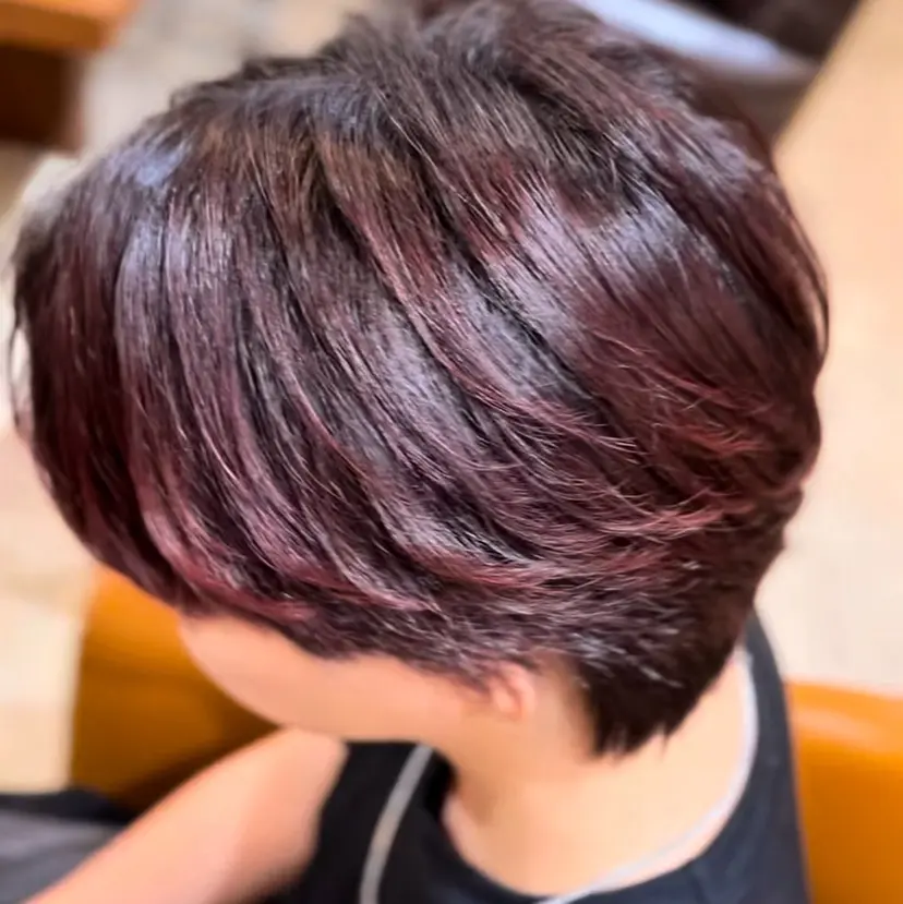 中島 正敏の掲載