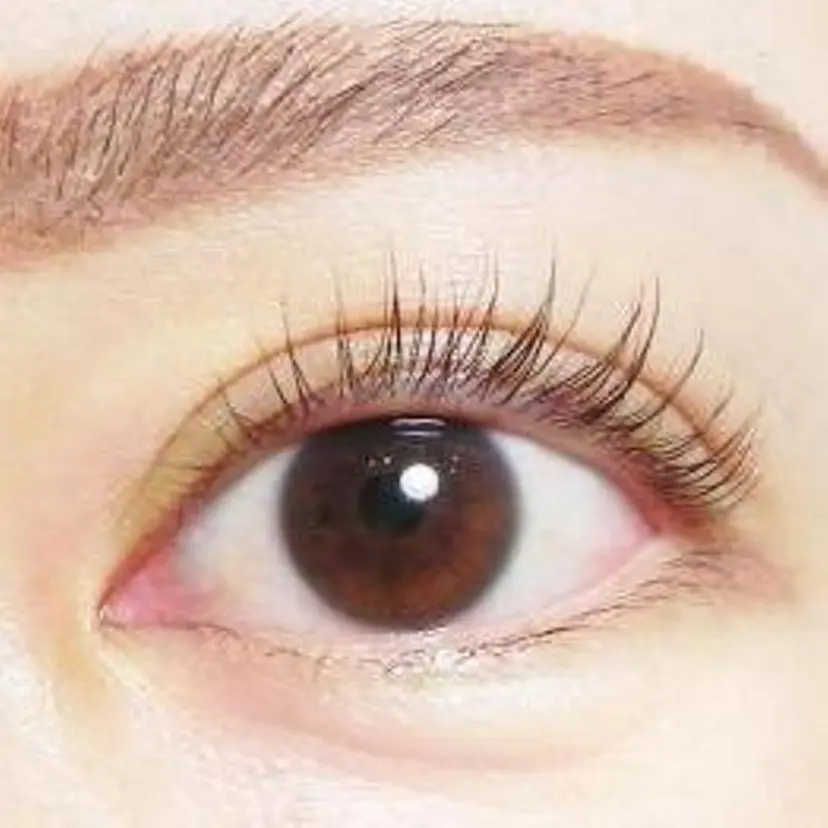 kalon 松岡の掲載