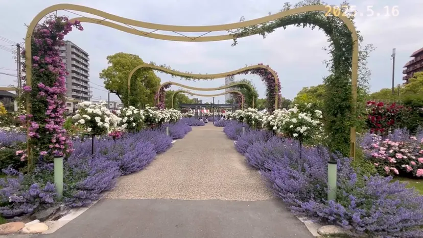 NANA-nail ROMIの掲載