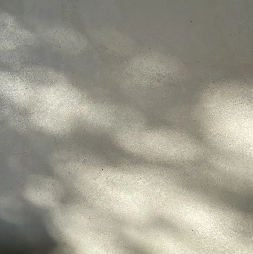 eyelash émuの掲載