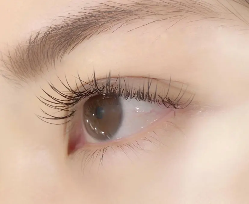 katano harunaの掲載