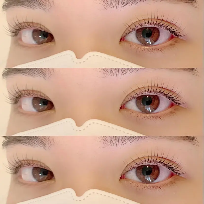 y.a.su 🐾の掲載