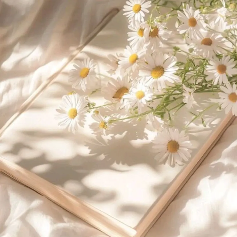 横尾 朱理の掲載