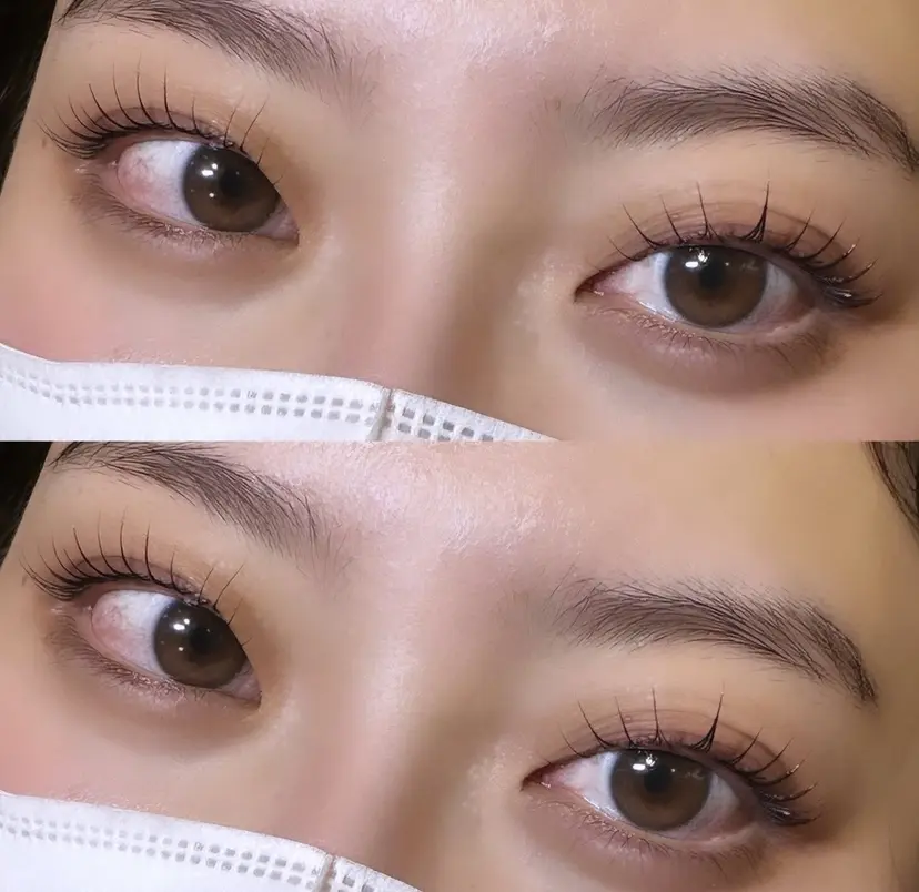 藤井 志帆の掲載