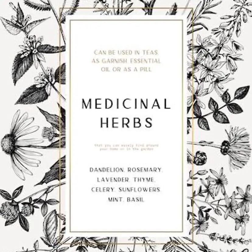 肌質改善サロン La Divinaの掲載