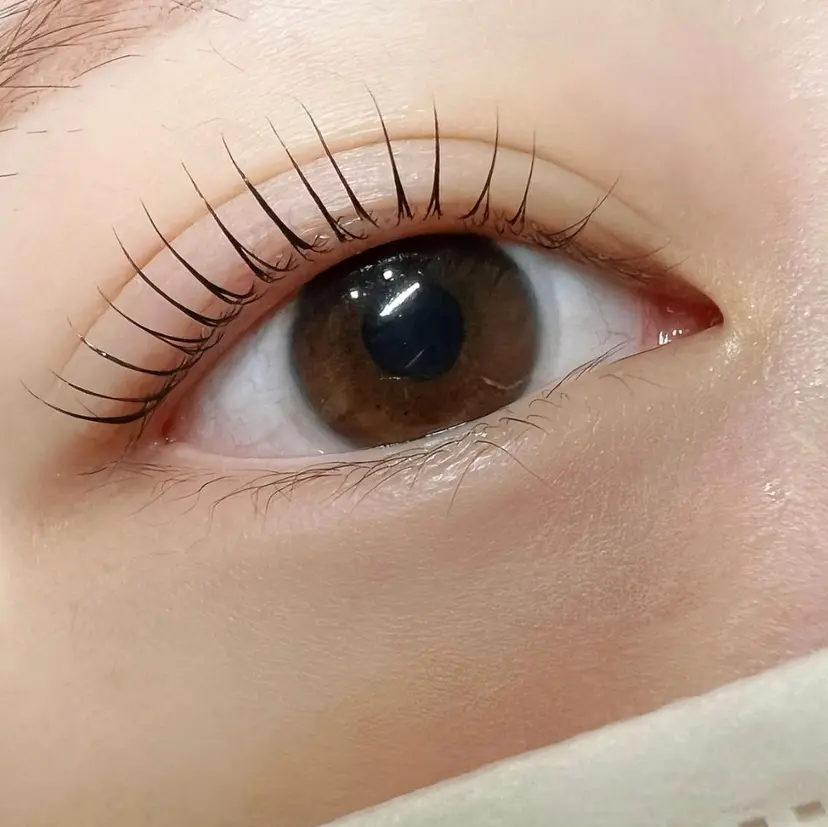 小林 未紀の掲載